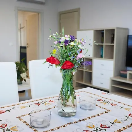 Apartment Grdelina