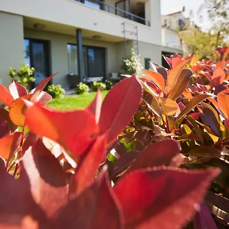 Apartment Grdelina *
