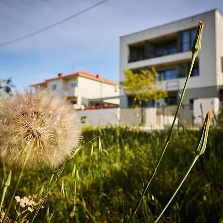 Apartment Grdelina Supetar